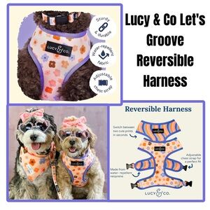 Lucy & Co Reversible Harness